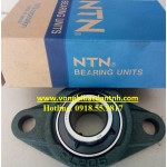 BẠC ĐẠN UCFL206 NTN